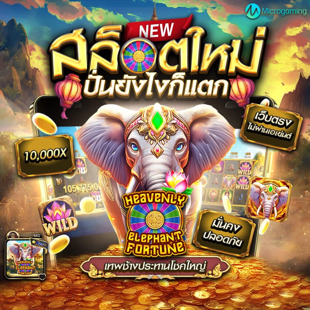 สล็อตmoo555