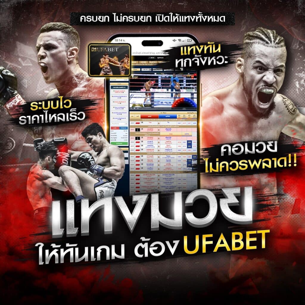 เว็บแทงมวย